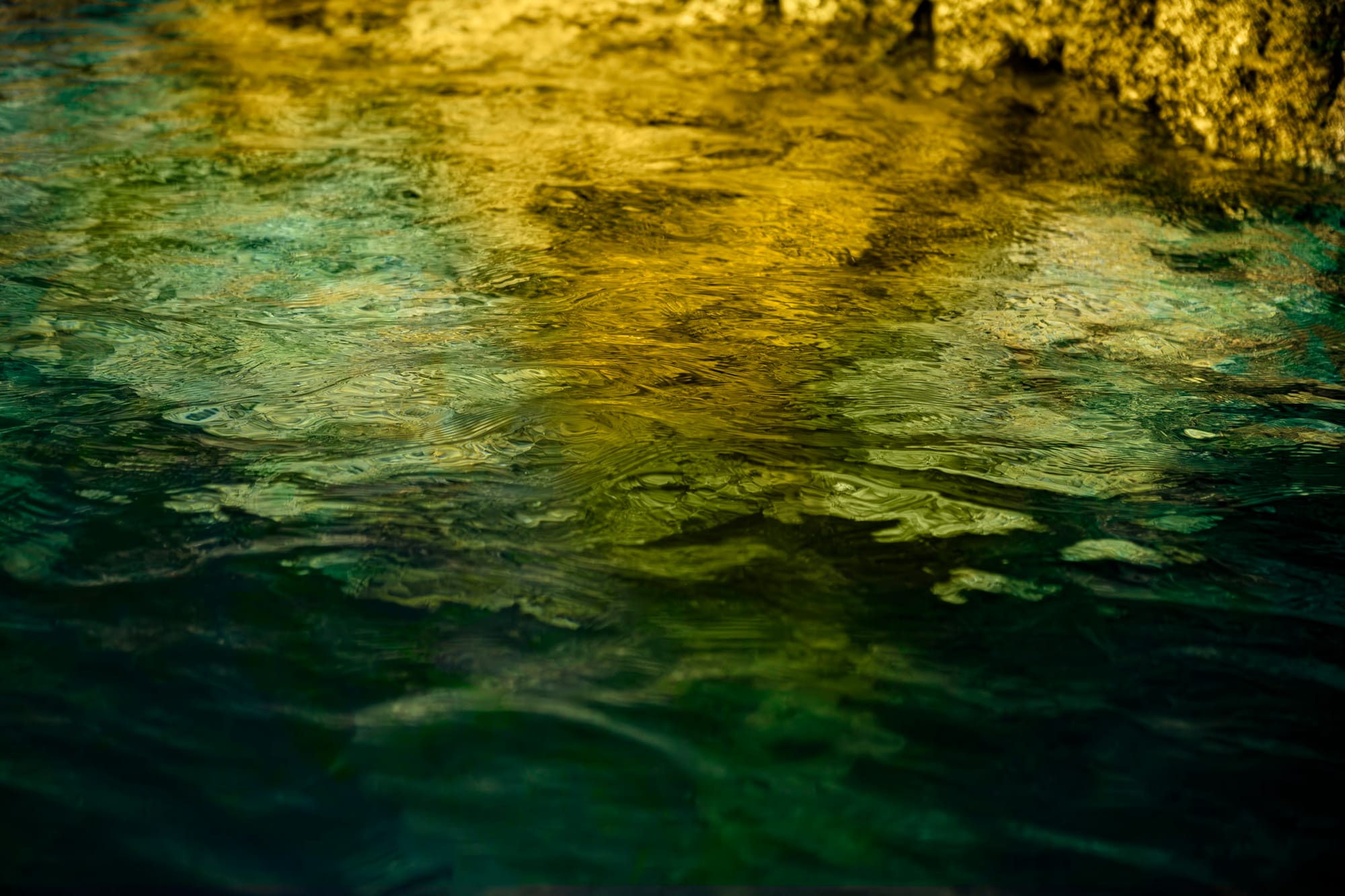 Gold and green reflections in the gently swirling waters at Lago Miramar, Chiapas, Mexico.