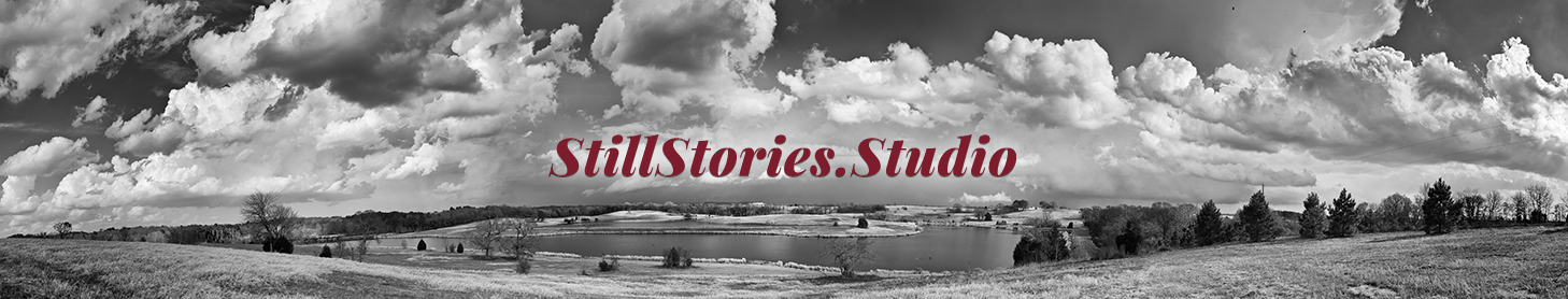 Welcome to Still Stories