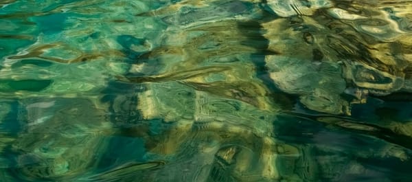 Colors of jade and gold swirling at Lake Miramar, Chiapas, Mexico