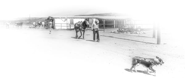 Cowboy walking his horse, dog running ahead, as another day begins.