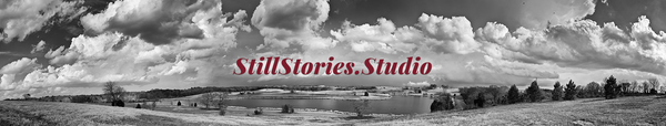 Welcome to Still Stories