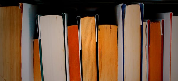 Books on shelf, seen from above.