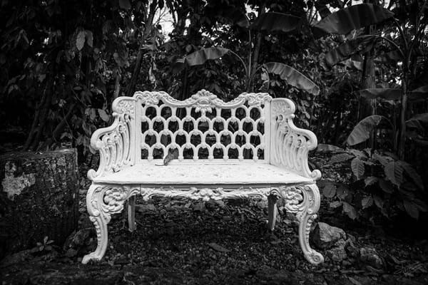 White cast iron bench waiting for someone to sit on it.